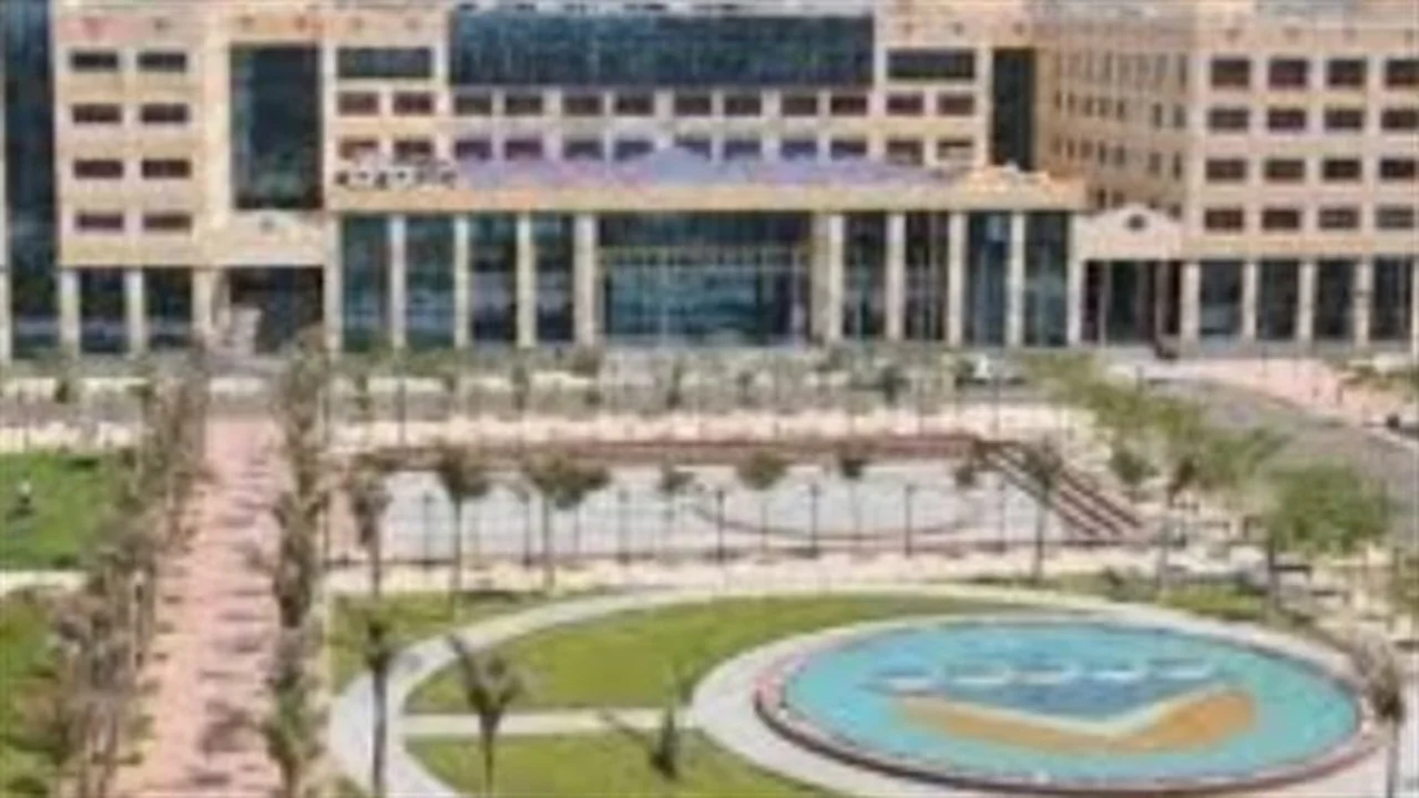 نهاية المحاضرات.. 21 مايو ختام الدراسة بالجامعات وبدء الامتحانات النهائية